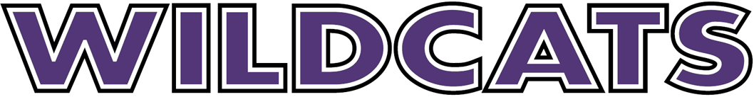 abilene christian wildcats 1997-2012 wordmark logo v2 diy iron on heat transfer
